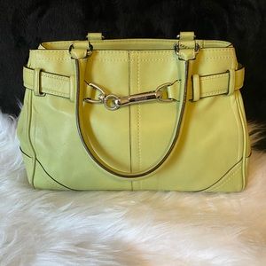 Rare authentic Hampton purse F11199